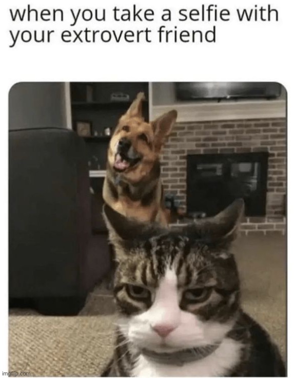 image tagged in memes,funny | made w/ Imgflip meme maker
