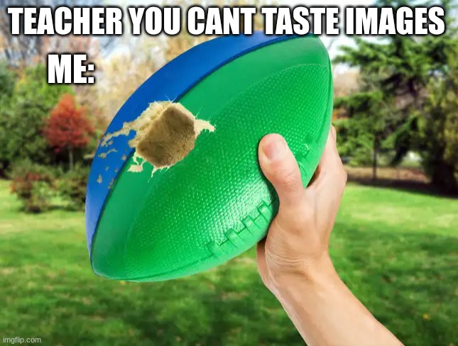 have you ever seen a nerf football without a bite taken out of it | ME:; TEACHER YOU CANT TASTE IMAGES | image tagged in school gym,memes,funny,relatable | made w/ Imgflip meme maker