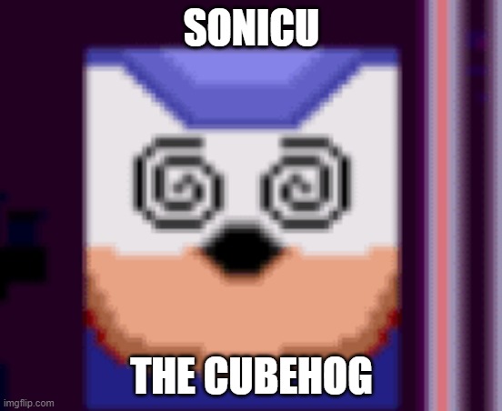 Sonicu the Cubehog | SONICU; THE CUBEHOG | image tagged in sonicu the cubehog | made w/ Imgflip meme maker