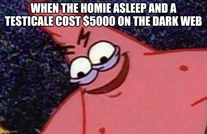 Yes, got this idea from another meme. | WHEN THE HOMIE ASLEEP AND A TESTICALE COST $5000 ON THE DARK WEB | image tagged in evil patrick | made w/ Imgflip meme maker