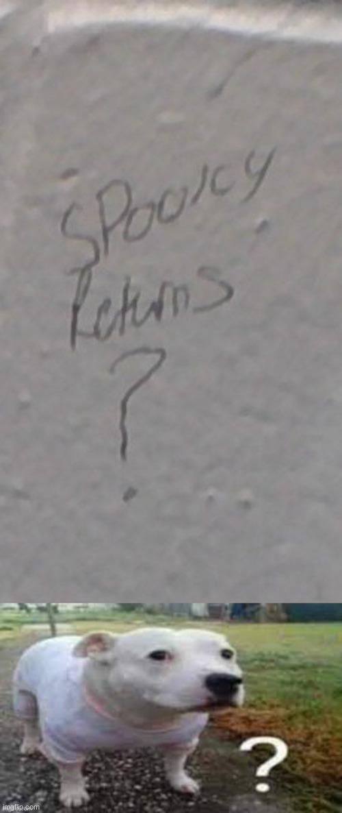Who wrote this in the school bathroom | image tagged in dog question mark | made w/ Imgflip meme maker