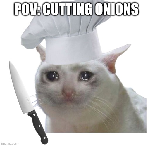 All the tears | POV: CUTTING ONIONS | image tagged in memes,funny memes,kitchen | made w/ Imgflip meme maker
