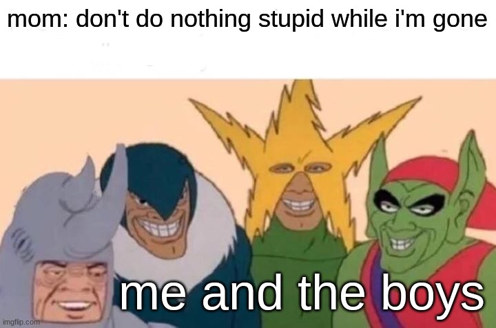Me And The Boys Meme | mom: don't do nothing stupid while i'm gone; me and the boys | image tagged in memes,me and the boys | made w/ Imgflip meme maker