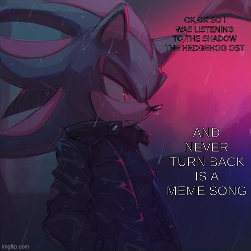 badass hedgehog ❤ | OK OK SO I WAS LISTENING TO THE SHADOW THE HEDGEHOG OST; AND NEVER TURN BACK IS A MEME SONG | image tagged in badass hedgehog | made w/ Imgflip meme maker
