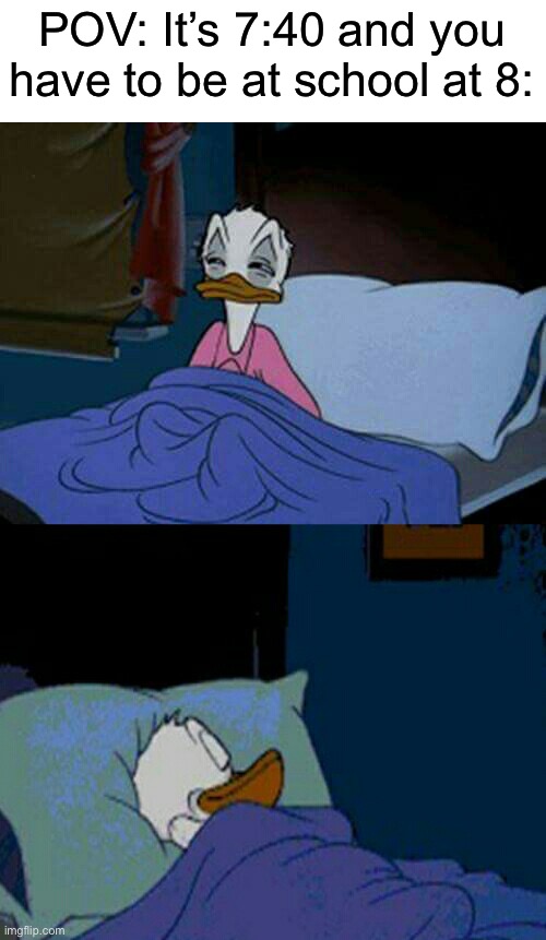 *goes back to sleep* | POV: It’s 7:40 and you have to be at school at 8: | image tagged in sleepy donald duck in bed,memes,funny,true story,relatable memes,school | made w/ Imgflip meme maker