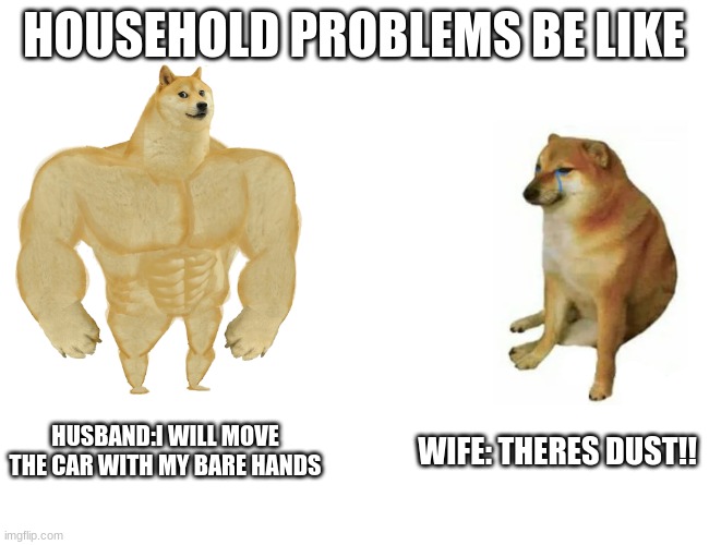 Buff dog and weak dog | HOUSEHOLD PROBLEMS BE LIKE; HUSBAND:I WILL MOVE THE CAR WITH MY BARE HANDS; WIFE: THERES DUST!! | image tagged in memes,buff doge vs cheems | made w/ Imgflip meme maker