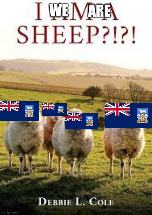 Falklands Wars Be Like | ARE; WE | image tagged in sheep,falklands,argentina,british | made w/ Imgflip meme maker