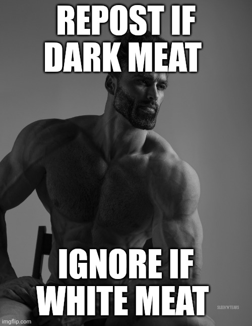 Giga Chad | REPOST IF DARK MEAT; IGNORE IF WHITE MEAT | image tagged in giga chad | made w/ Imgflip meme maker