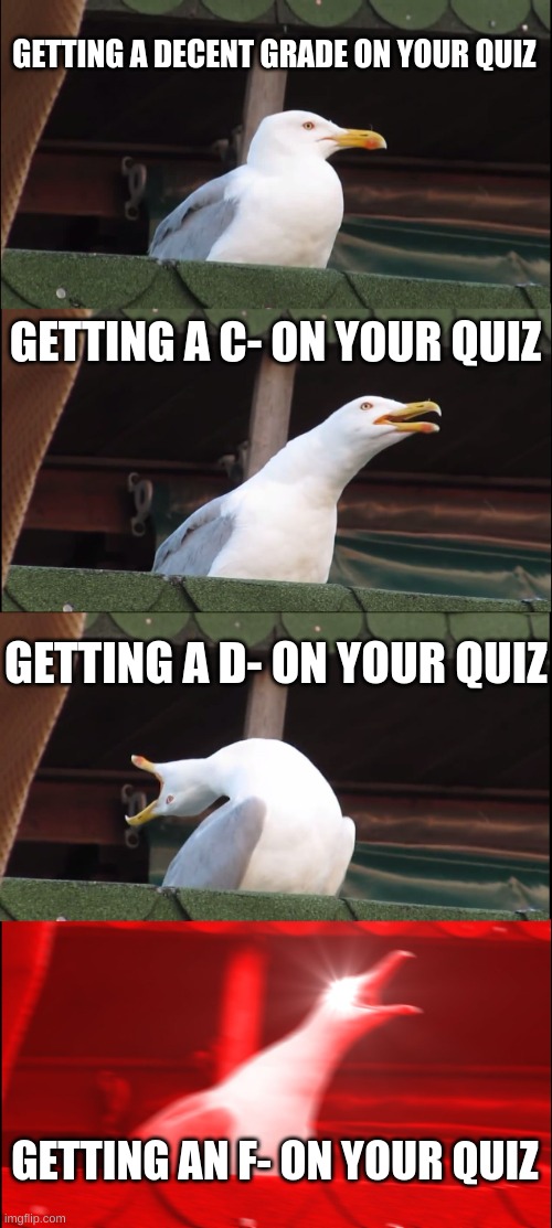 Quiz grades | GETTING A DECENT GRADE ON YOUR QUIZ; GETTING A C- ON YOUR QUIZ; GETTING A D- ON YOUR QUIZ; GETTING AN F- ON YOUR QUIZ | image tagged in memes,inhaling seagull | made w/ Imgflip meme maker