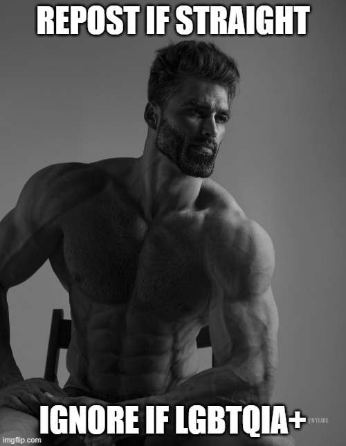 Giga Chad | REPOST IF STRAIGHT; IGNORE IF LGBTQIA+ | image tagged in giga chad | made w/ Imgflip meme maker