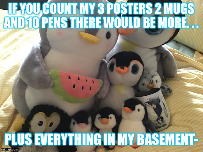 Promised picture pe | IF YOU COUNT MY 3 POSTERS 2 MUGS AND 10 PENS THERE WOULD BE MORE. . . PLUS EVERYTHING IN MY BASEMENT- | made w/ Imgflip meme maker