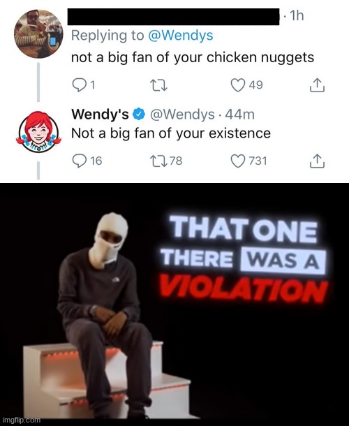 Why you don't ( and shouldn't ) roast Wendy's 101 | image tagged in that one there was a violation,wendy's,lol,roasted,fast food | made w/ Imgflip meme maker