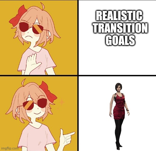 Transfem Drake Meme | REALISTIC 
TRANSITION
 GOALS | image tagged in transfem drake meme | made w/ Imgflip meme maker