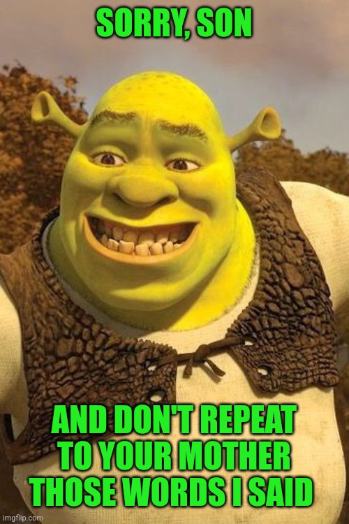 Smiling Shrek | SORRY, SON AND DON'T REPEAT TO YOUR MOTHER THOSE WORDS I SAID | image tagged in smiling shrek | made w/ Imgflip meme maker