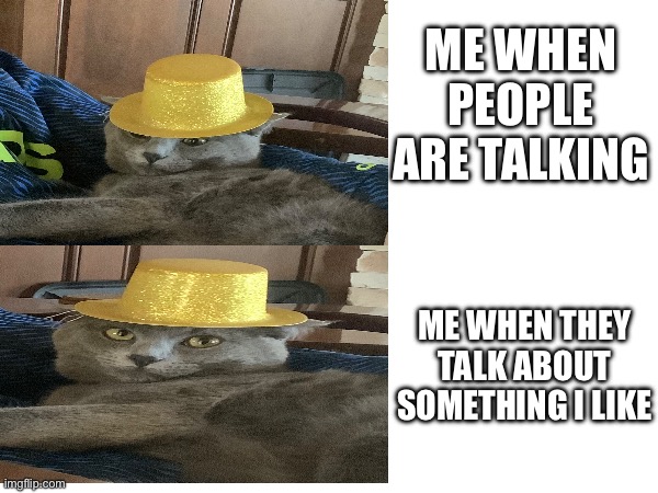 It happens…. | ME WHEN PEOPLE ARE TALKING; ME WHEN THEY TALK ABOUT SOMETHING I LIKE | image tagged in funny | made w/ Imgflip meme maker