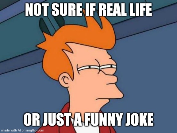 Ai meme #17 | NOT SURE IF REAL LIFE; OR JUST A FUNNY JOKE | image tagged in memes,futurama fry | made w/ Imgflip meme maker