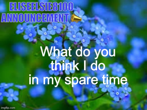 EliseElsie8100 Announcement | What do you think I do in my spare time | image tagged in eliseelsie8100 announcement | made w/ Imgflip meme maker