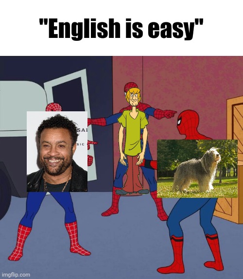 The Shaggy Trio | "English is easy" | image tagged in spider man triple,shaggy | made w/ Imgflip meme maker