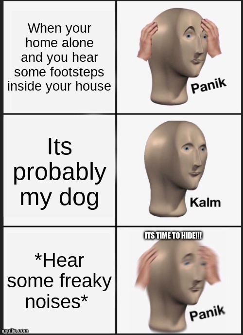 Home-alone | When your home alone and you hear some footsteps inside your house; Its probably my dog; ITS TIME TO HIDE!!! *Hear some freaky noises* | image tagged in memes,panik kalm panik,home alone,scared kid,help me,funny memes | made w/ Imgflip meme maker