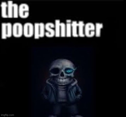 the poopshitter | image tagged in the poopshitter | made w/ Imgflip meme maker