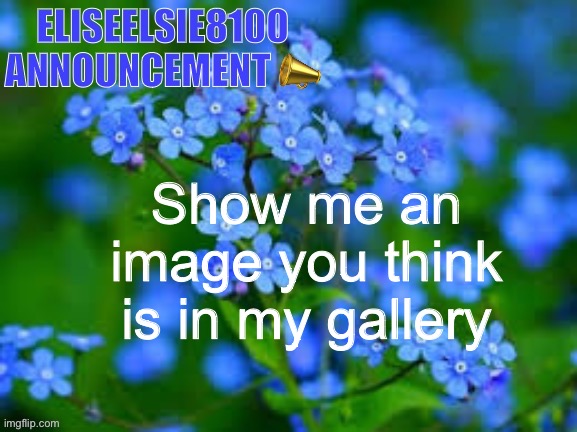 EliseElsie8100 Announcement | Show me an image you think is in my gallery | image tagged in eliseelsie8100 announcement | made w/ Imgflip meme maker