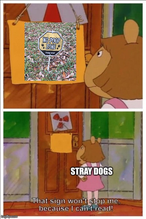 That sign won't stop me! | STRAY DOGS | image tagged in that sign won't stop me,memes | made w/ Imgflip meme maker