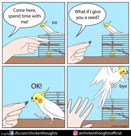 Birb comic: bribery | image tagged in birb,comics | made w/ Imgflip meme maker