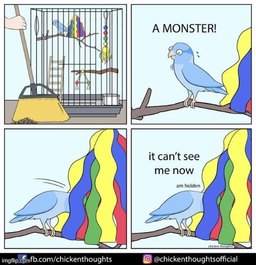 Birb comic: hiding | image tagged in birb,comics | made w/ Imgflip meme maker