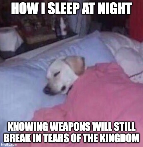 Weapons break and that's ok | HOW I SLEEP AT NIGHT; KNOWING WEAPONS WILL STILL BREAK IN TEARS OF THE KINGDOM | image tagged in how i sleep at night | made w/ Imgflip meme maker