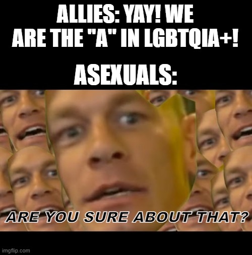 Are you sure about that | ALLIES: YAY! WE ARE THE "A" IN LGBTQIA+! ASEXUALS: ARE YOU SURE ABOUT THAT? | image tagged in are you sure about that | made w/ Imgflip meme maker