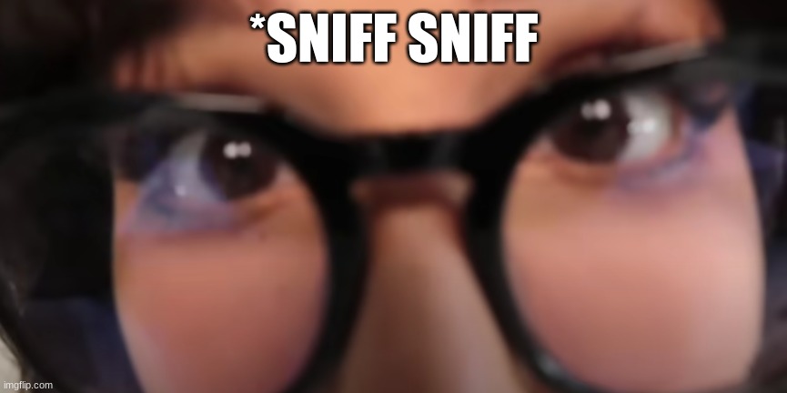 sssniperwolf sniffing you in your sleep | *SNIFF SNIFF | image tagged in funny,hilarious,haha | made w/ Imgflip meme maker