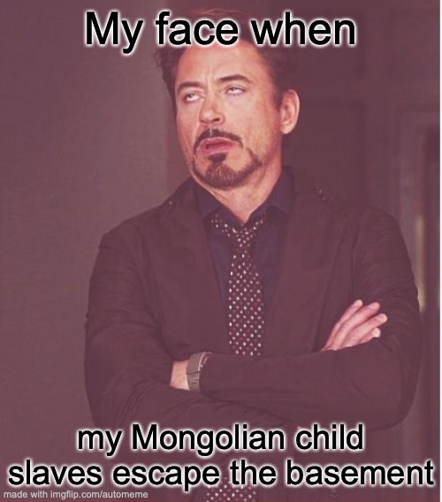 Face You Make Robert Downey Jr | My face when; my Mongolian child slaves escape the basement | image tagged in memes,face you make robert downey jr | made w/ Imgflip meme maker