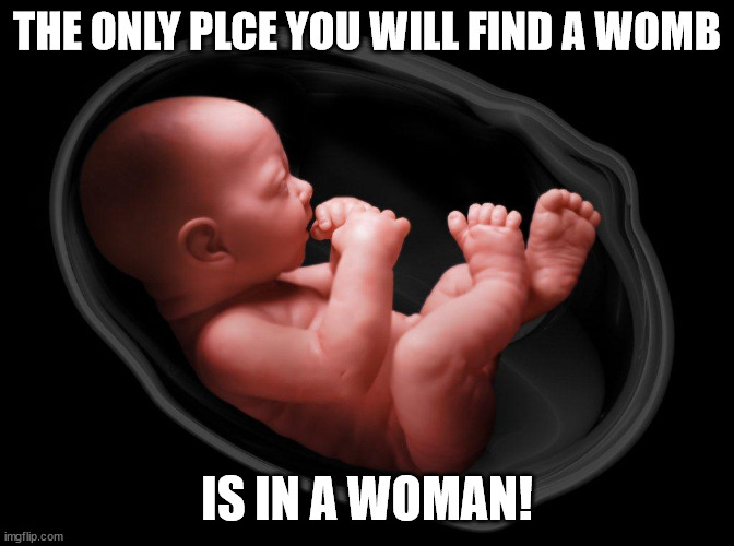 Baby in Womb | THE ONLY PLCE YOU WILL FIND A WOMB IS IN A WOMAN! | image tagged in baby in womb | made w/ Imgflip meme maker