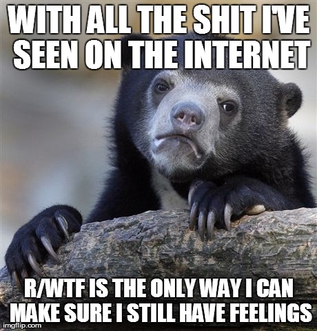 Confession Bear | WITH ALL THE SHIT I'VE SEEN ON THE INTERNET R/WTF IS THE ONLY WAY I CAN MAKE SURE I STILL HAVE FEELINGS | image tagged in memes,confession bear,AdviceAnimals | made w/ Imgflip meme maker