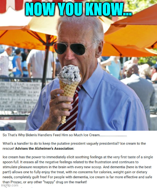 The truth of the matter... | NOW YOU KNOW... | image tagged in joe biden eating ice cream,dementia,joe biden | made w/ Imgflip meme maker