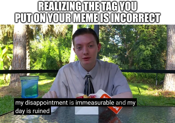 I did this once and was so mad. | REALIZING THE TAG YOU PUT ON YOUR MEME IS INCORRECT | image tagged in my disappointment is immeasurable,relatable | made w/ Imgflip meme maker