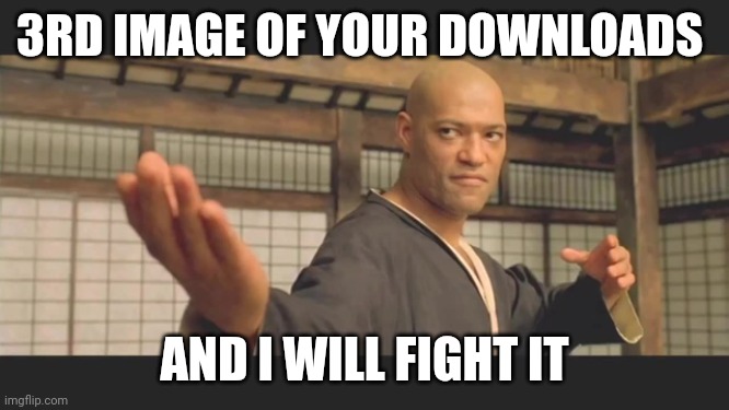 Morpheus Bring it | 3RD IMAGE OF YOUR DOWNLOADS; AND I WILL FIGHT IT | image tagged in morpheus bring it | made w/ Imgflip meme maker