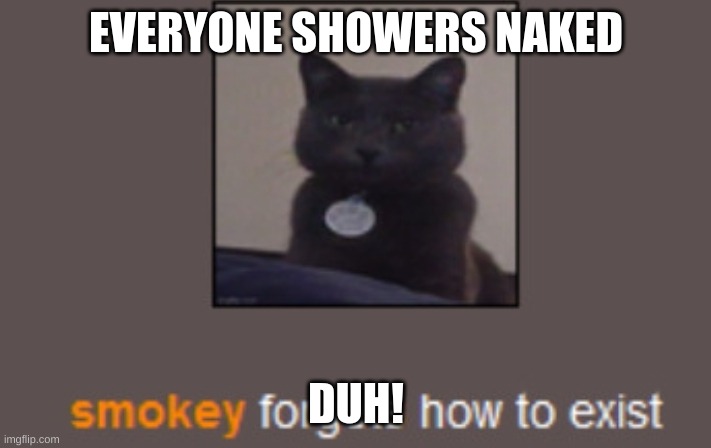 Everyone does at some point | EVERYONE SHOWERS NAKED DUH! | image tagged in everyone does at some point | made w/ Imgflip meme maker