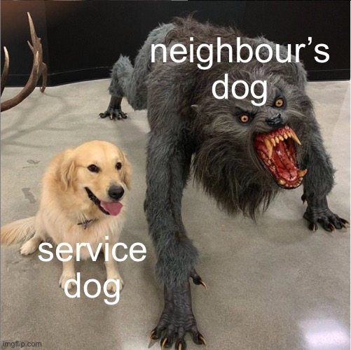I’m not wrong though | neighbour’s
dog; service dog | image tagged in dog vs werewolf | made w/ Imgflip meme maker