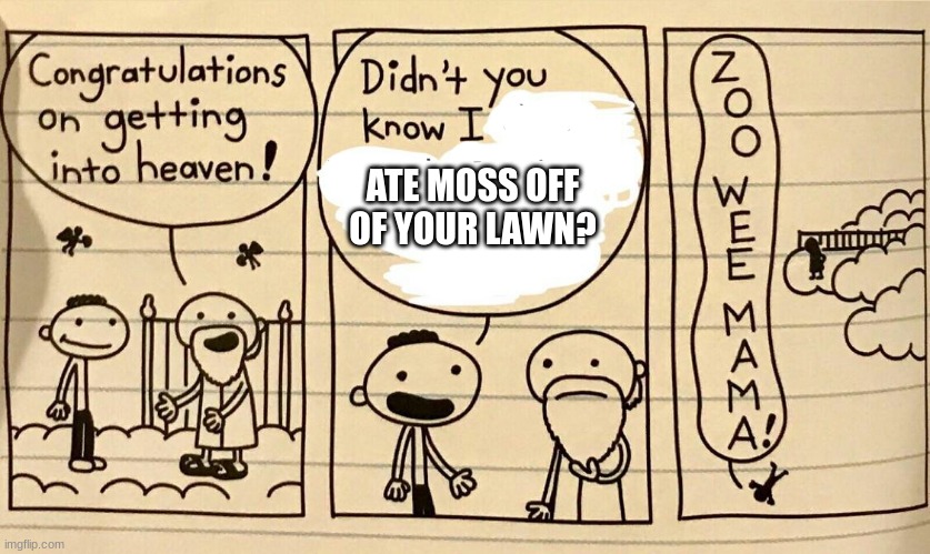 ZOO WEE MAMA | ATE MOSS OFF OF YOUR LAWN? | image tagged in zoo wee mama | made w/ Imgflip meme maker