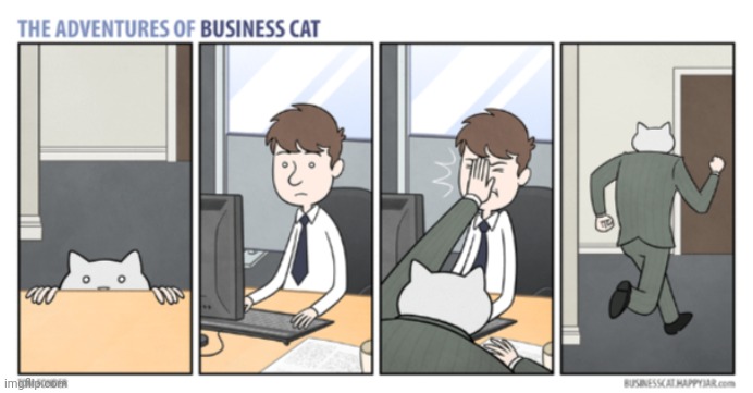 The Adventures of Business Cat #5 | made w/ Imgflip meme maker