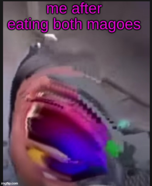 Mango on a fork | me after eating both magoes | image tagged in mango on a fork | made w/ Imgflip meme maker