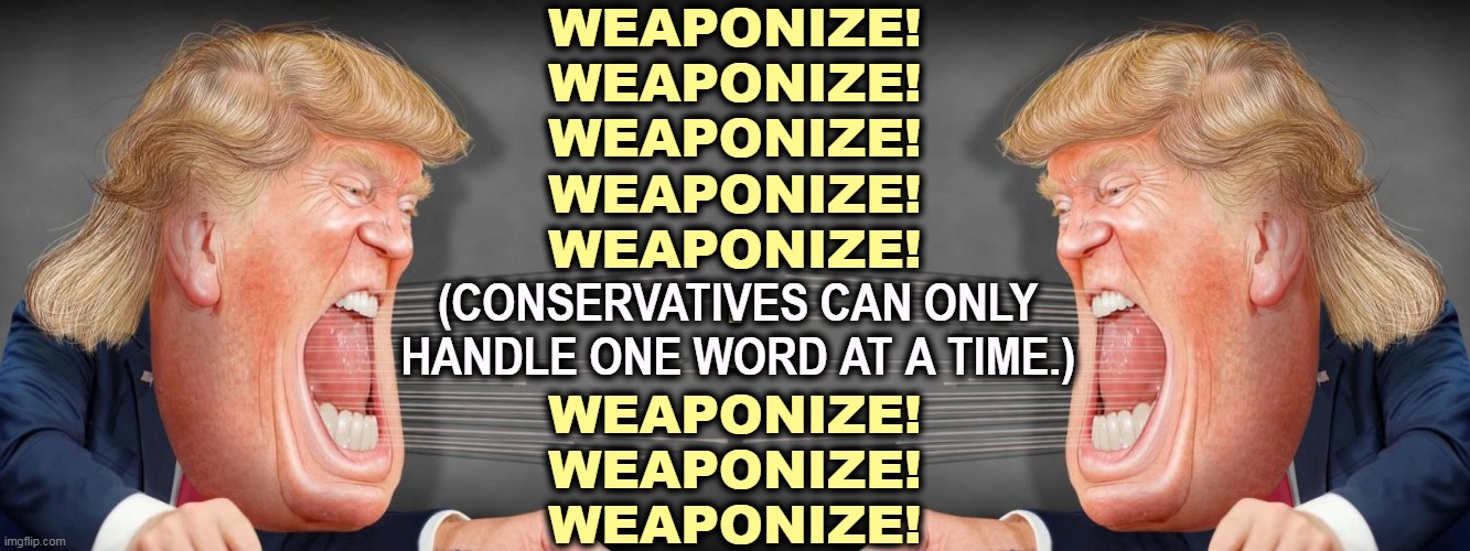 Of course, nobody weaponized the federal government anywhere near as much as Trump did. He's just talking about himself. | WEAPONIZE!
WEAPONIZE!
WEAPONIZE!
WEAPONIZE!
WEAPONIZE!
.
-
WEAPONIZE!
WEAPONIZE!
WEAPONIZE! (CONSERVATIVES CAN ONLY HANDLE ONE WORD AT A TIME.) | image tagged in weaponize,trump,whining,self pity,again | made w/ Imgflip meme maker
