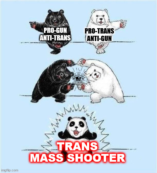 THE ULTIMATE POLITICAL MASH-UP |  PRO-GUN ANTI-TRANS; PRO-TRANS
ANTI-GUN; TRANS MASS SHOOTER | image tagged in panda clash,2nd amendment,transgender,memes,illuminati confirmed,decisions | made w/ Imgflip meme maker