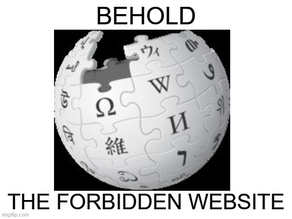 For real tho why is it so bad there's nothing really wrong with it... | BEHOLD; THE FORBIDDEN WEBSITE | image tagged in wikipedia | made w/ Imgflip meme maker