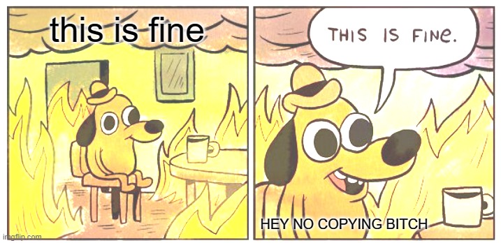 This Is Fine Meme | this is fine; HEY NO COPYING BITCH | image tagged in memes,this is fine | made w/ Imgflip meme maker