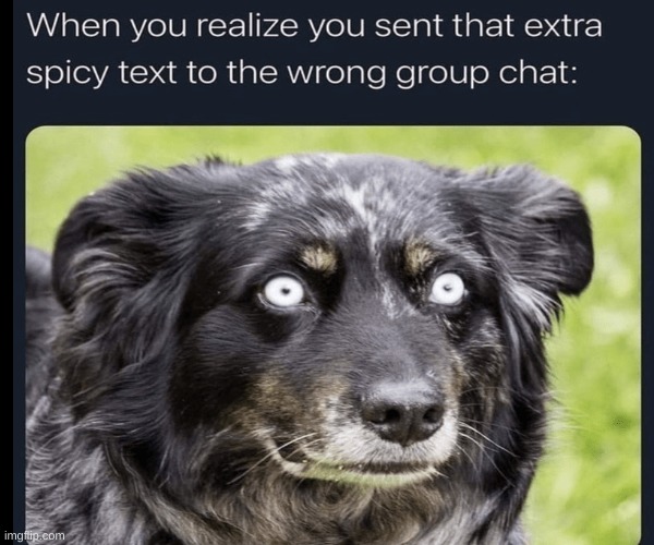 image tagged in dogs,memes | made w/ Imgflip meme maker