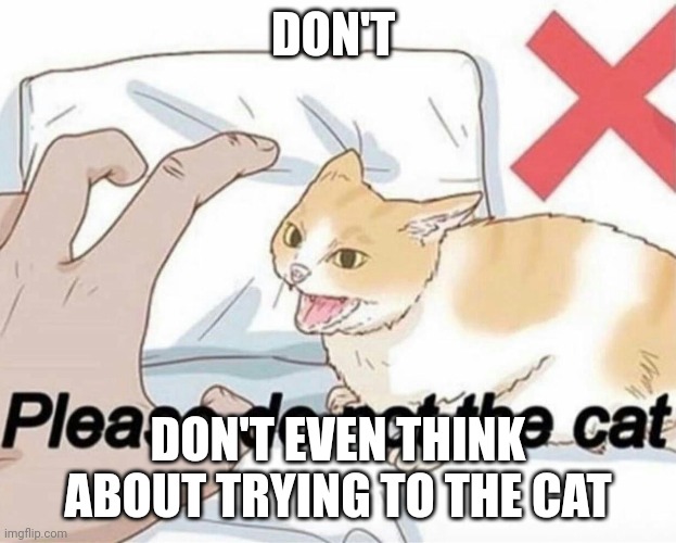 Don't even think about trying to the cat | DON'T; DON'T EVEN THINK ABOUT TRYING TO THE CAT | image tagged in please do not the cat | made w/ Imgflip meme maker