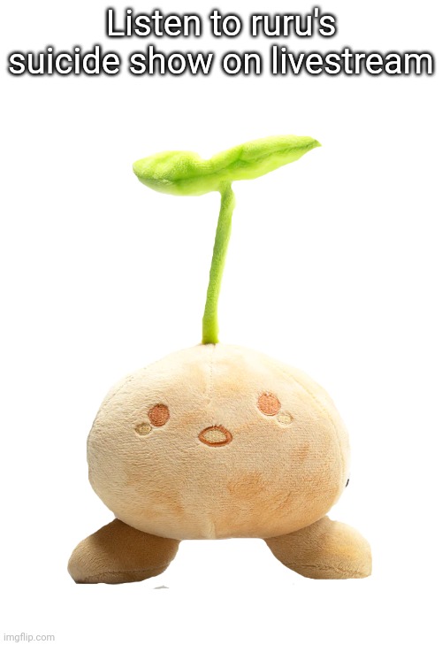 sprout mole plush | Listen to ruru's suicide show on livestream | image tagged in sprout mole plush | made w/ Imgflip meme maker