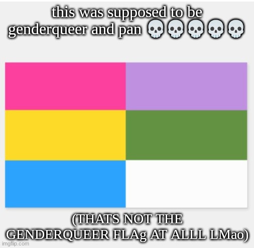 this was supposed to be genderqueer and pan 💀💀💀💀💀; (THATS NOT THE GENDERQUEER FLAg AT ALLL LMao) | made w/ Imgflip meme maker